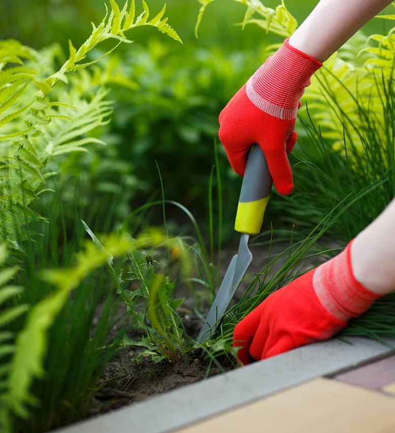 Landscaping Services In On Wa, Best Landscaping Llc