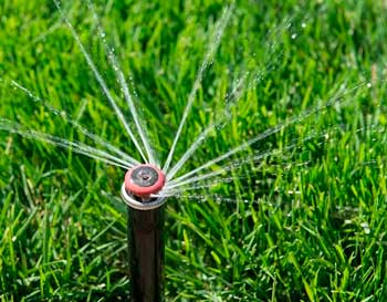 Irrigation system
