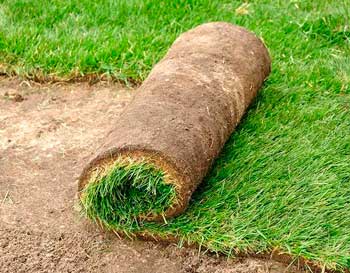 New Sod Installation