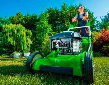 Lawn Maintenance