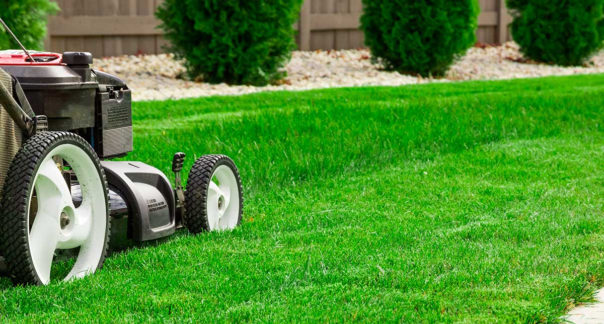 Keeping Up With Lawn Care
