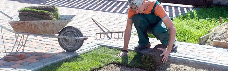 Best Landscaping Contractor in Seattle WA