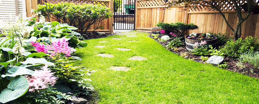 Top Reasons to Hire Professional Landscapers for Your Yard