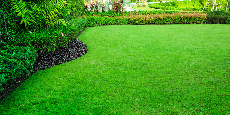 Lawn Care & Maintenance in Seattle WA