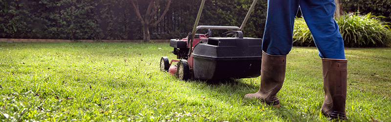 LAWN MOWING SERVICES