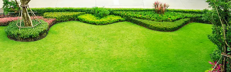 LAWN FERTILIZATION SERVICES