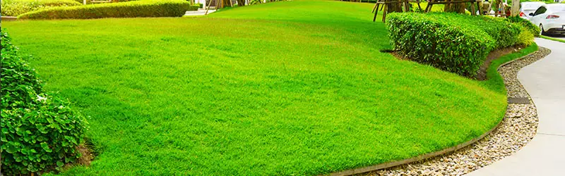 LAWN CARE: KEEPING YOUR LAWN LUSH