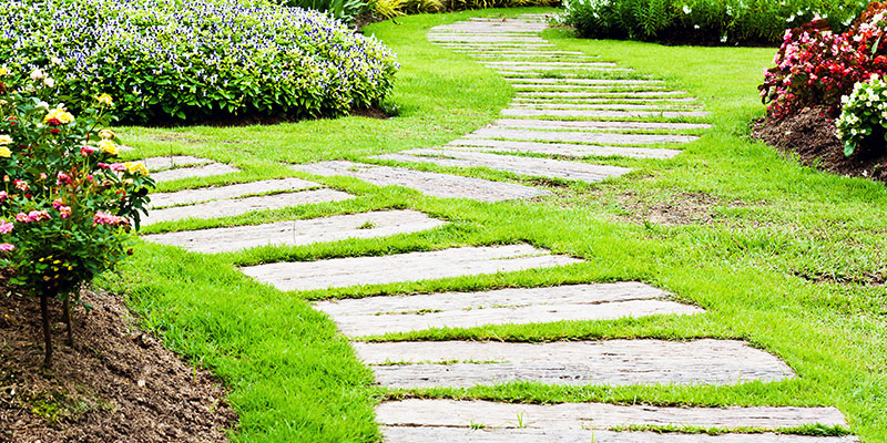 Lawn Care & Maintenance in Kirkland WA