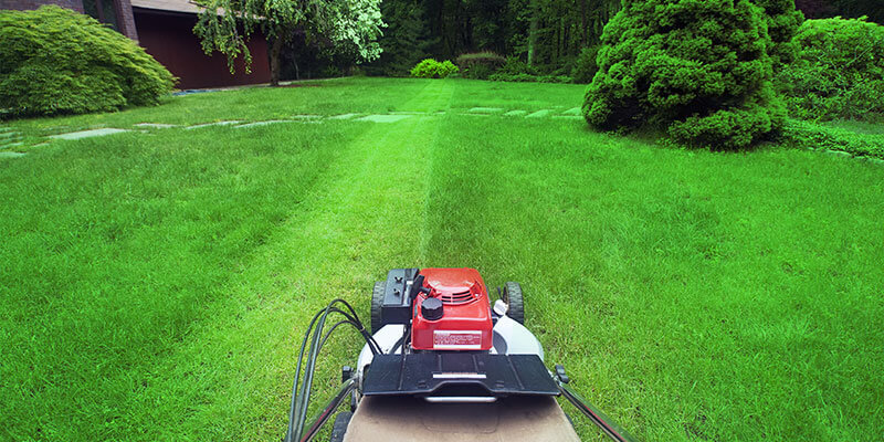 WEEKLY MOWING SERVICE