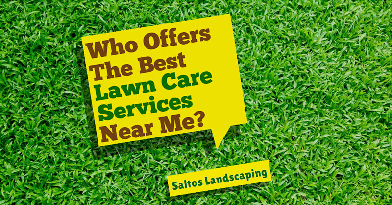 Who Offers the Best Lawn Care Services Near Me?