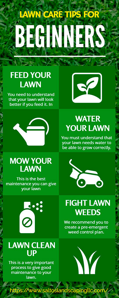 These are the Main Lawn Care Tips for Beginners