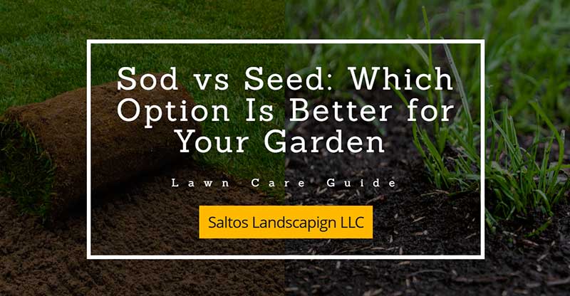 Advantages of Sod vs Seed