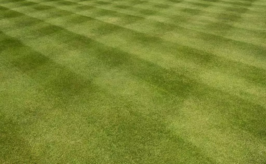 How To Mow a Checkerboard Grass Pattern