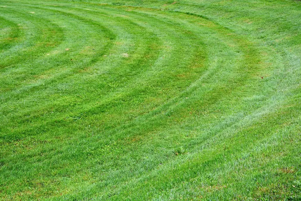 How To Mow a Circular Grass Pattern