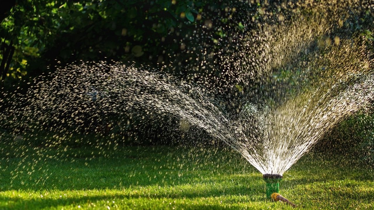 How Long to Water Your Lawn