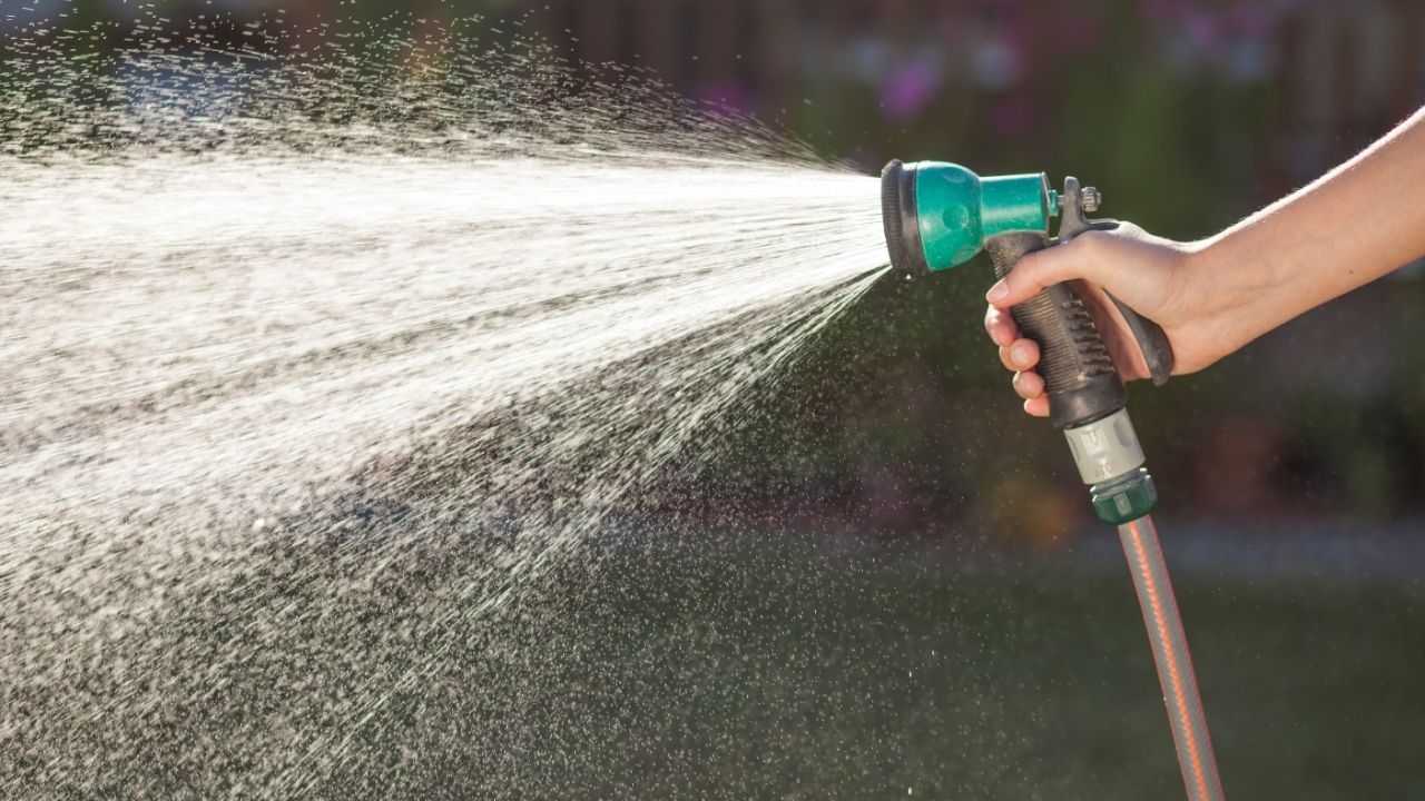 How to Water Your Lawn