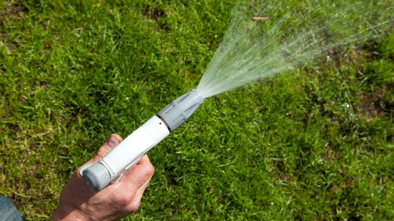 lawn-watering-schedule-learn-how-often-to-water-your-grass
