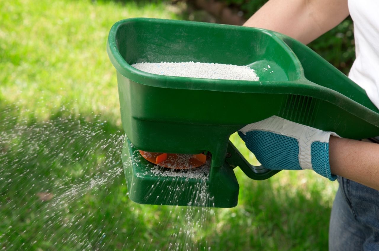 How to Fertilize Bermuda Grass