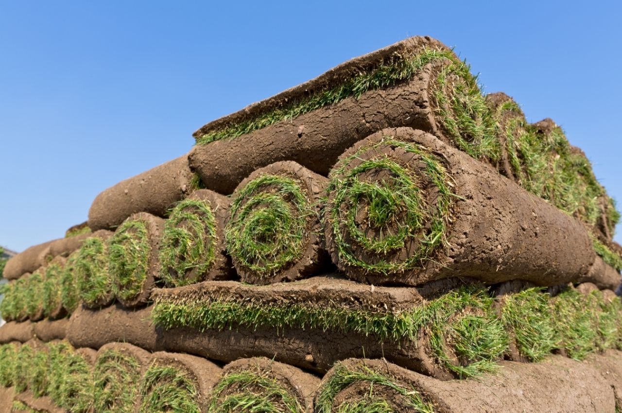 Steps to Laying Sod