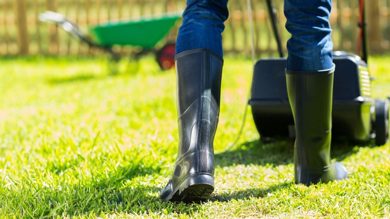 Mow Low to Overseed Lawn