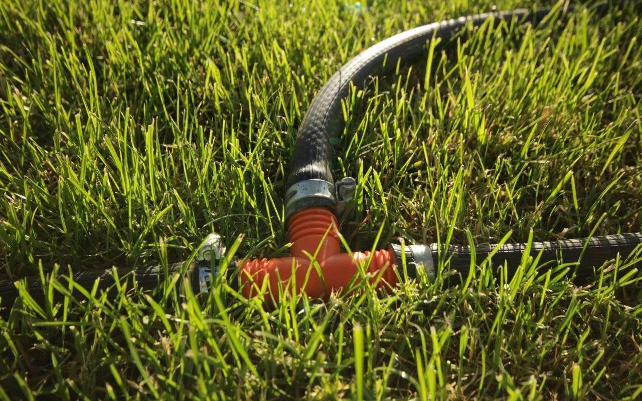 water the lawn for healthy growth