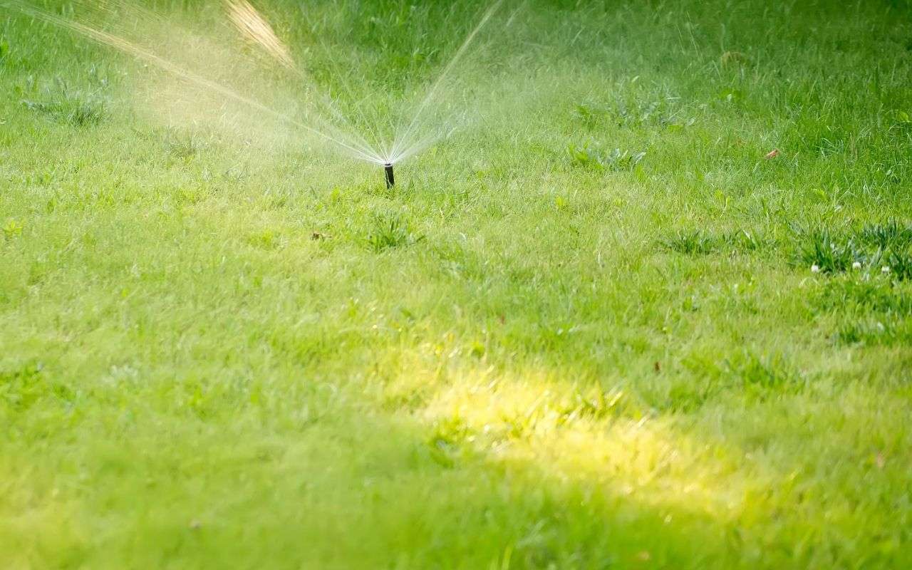 irrigation system repair professionals or diy