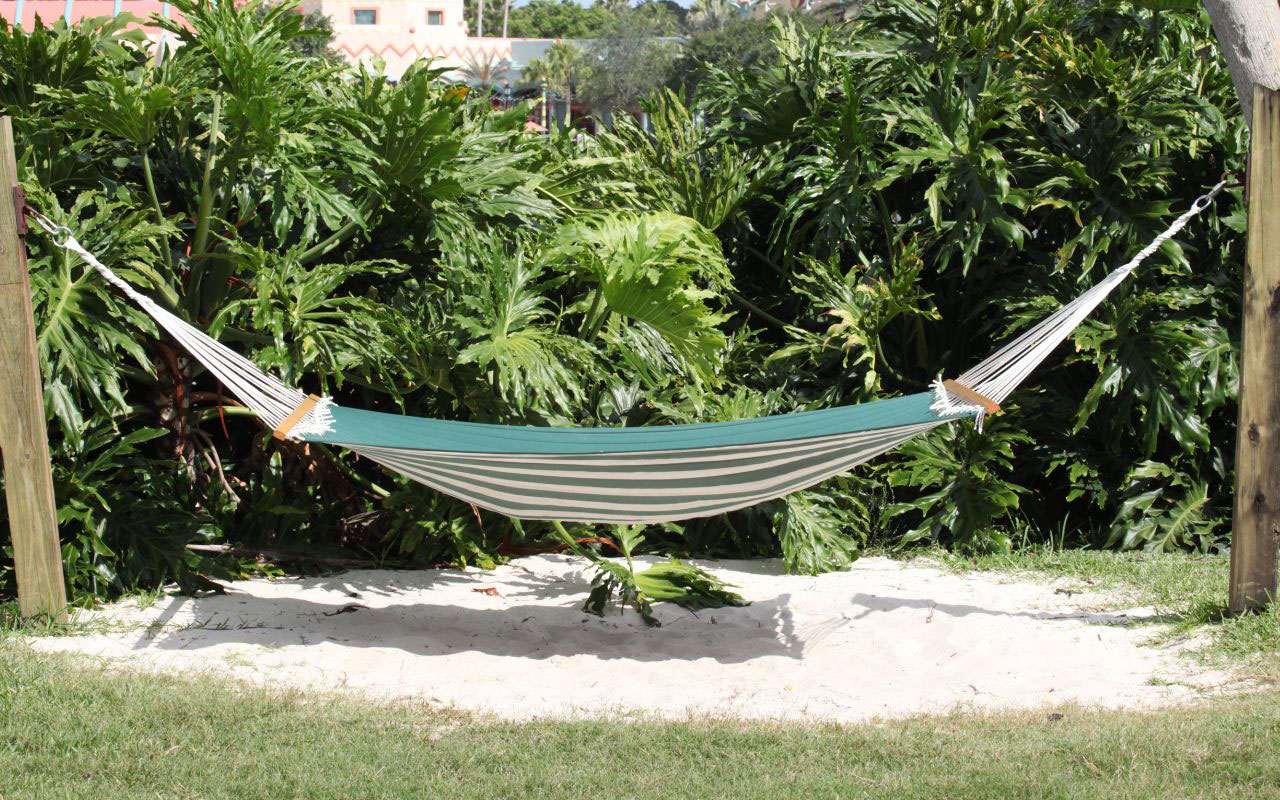 hammock in a side yard