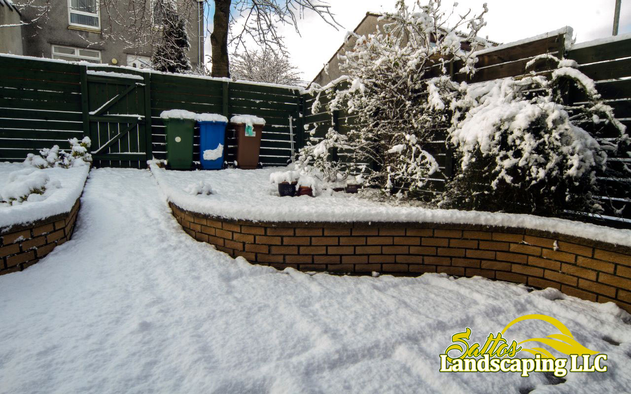 Practical Lawn Maintenance Tips for Winter