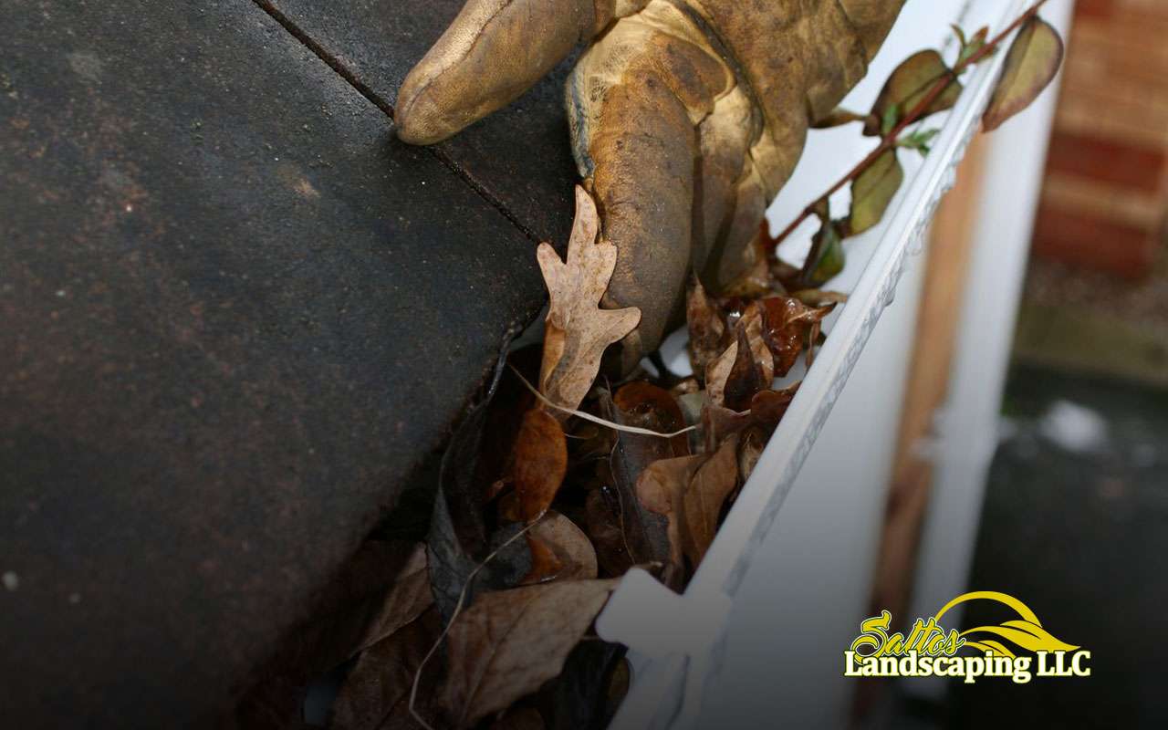 Why Should You Keep Your Gutters Clean?
