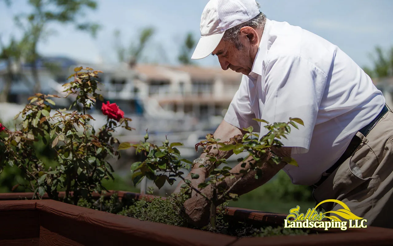 Guide to Achieving Weed-Free Flower Beds.