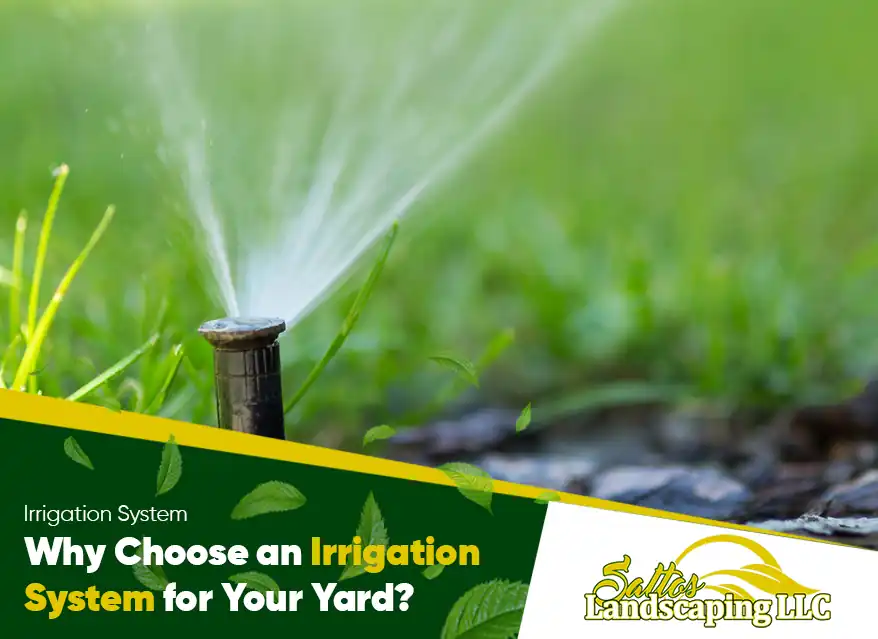 Why Choose an Irrigation System for Your Yard?