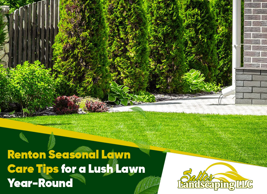 Renton Seasonal Lawn Care Tips for a Lush Lawn Year-Round