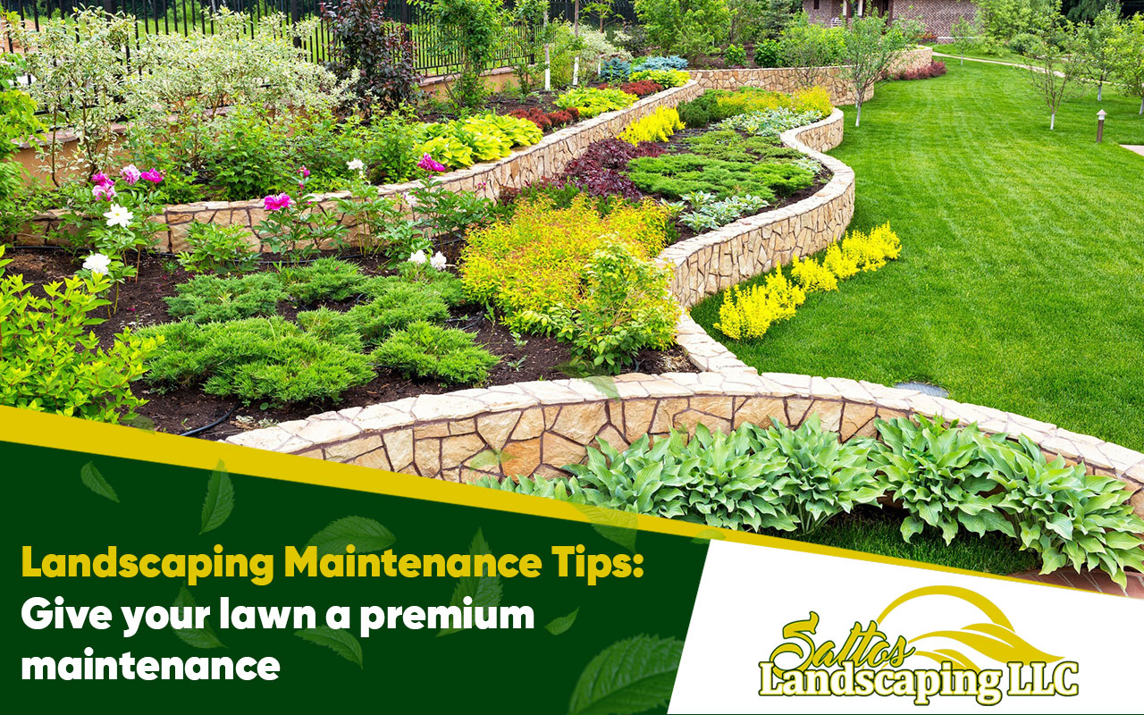 Landscaping Maintenance Tips: Give your lawn a premium maintenance