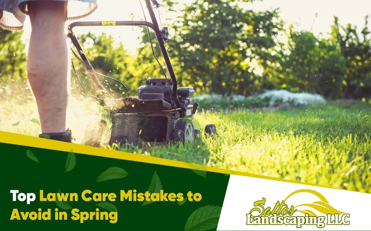 Mistakes to Avoid When Mowing in Spring: Essential Tips for Success