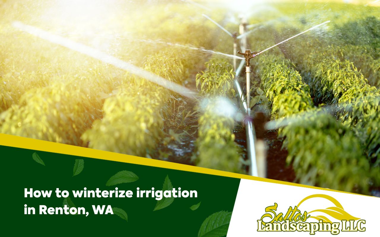 How to winterize irrigation in Renton, WA