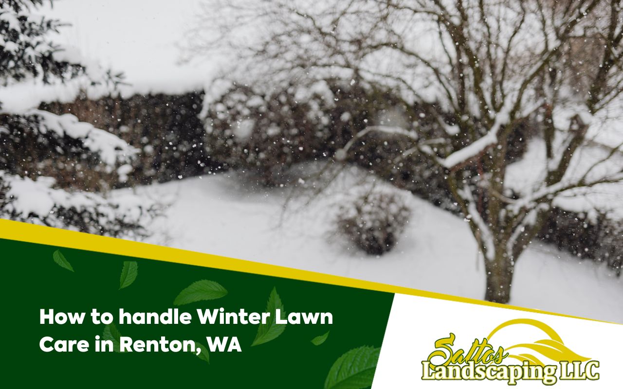 How to handle Winter Lawn Care in Renton, WA