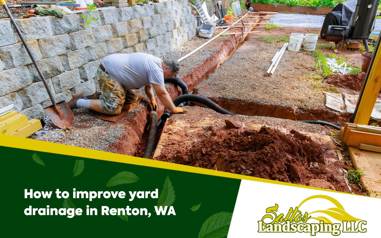 How to improve yard drainage in Renton, WA