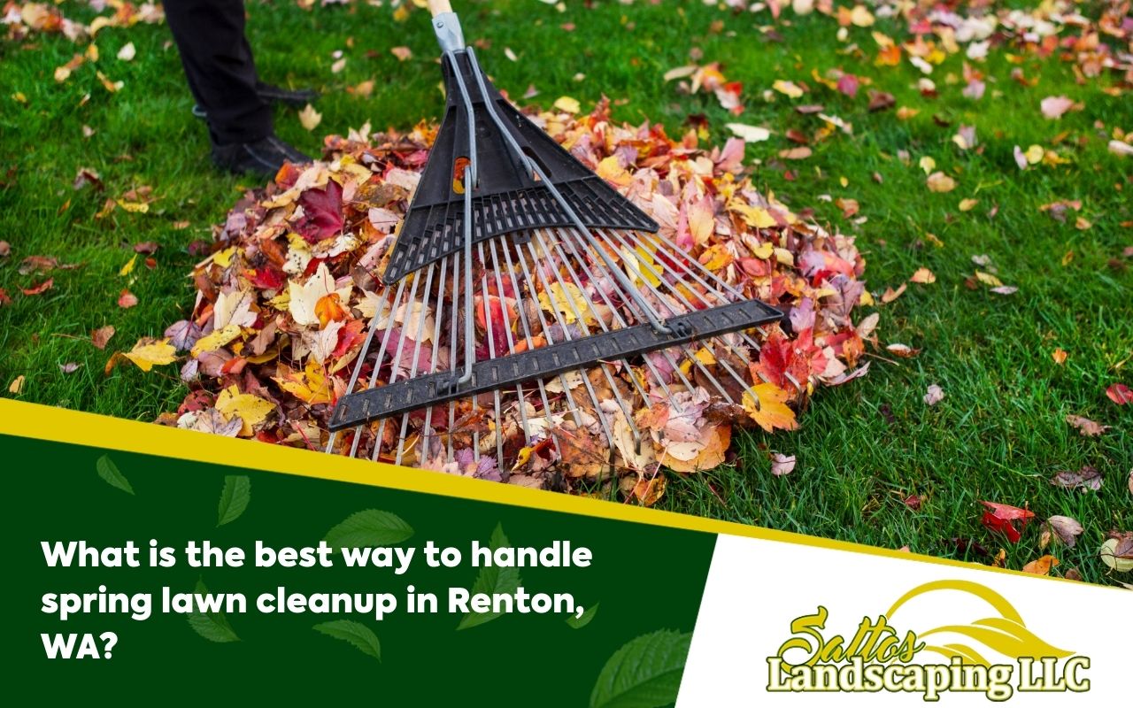 What is the best way to handle spring lawn cleanup in Renton, WA?