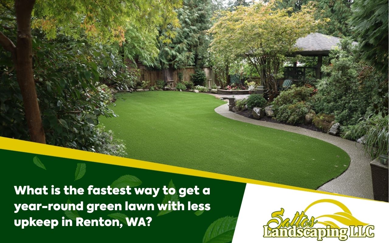 What is the fastest way to get a year-round green lawn with less upkeep in Renton, WA?