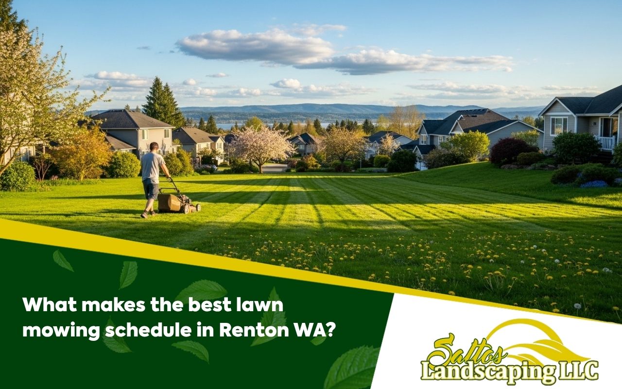 What makes the best lawn mowing schedule in Renton WA?