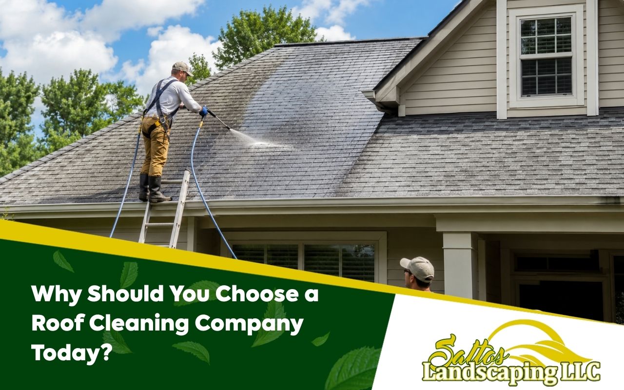 Why Should You Choose a Roof Cleaning Company Today?