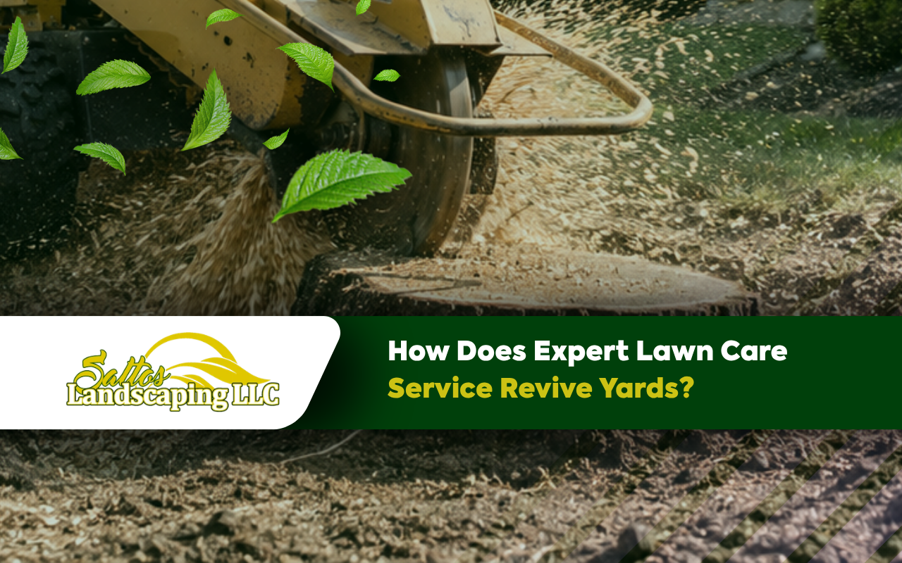 How Does Expert Lawn Care Service Revive Yards?