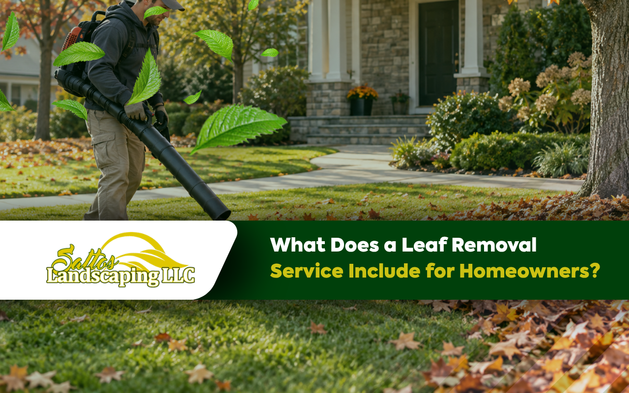 What Does a Leaf Removal Service Include for Homeowners?